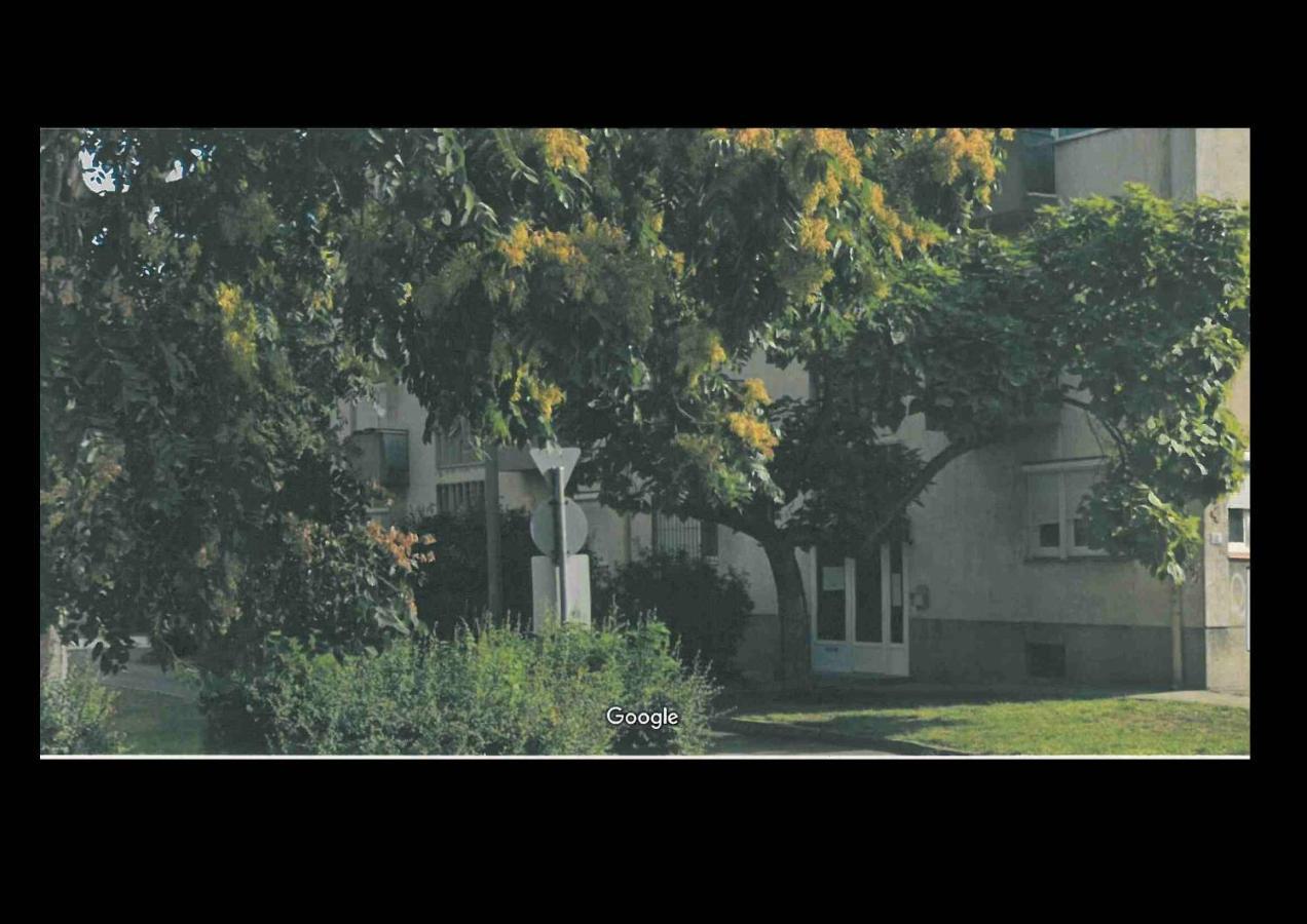 Peterpal Apartman Pécs Exterior foto